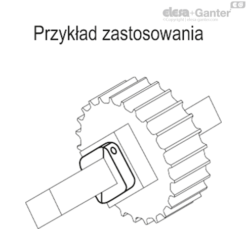 ANPS_Q_ACC_EXAMPLE_PL