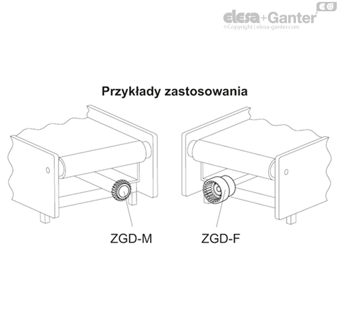 ZGD_ACC_EXAMPLE_PL