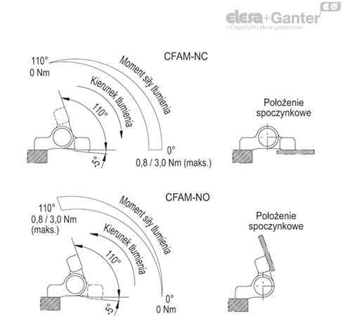 CFAM_ACC_ANGLE_PL
