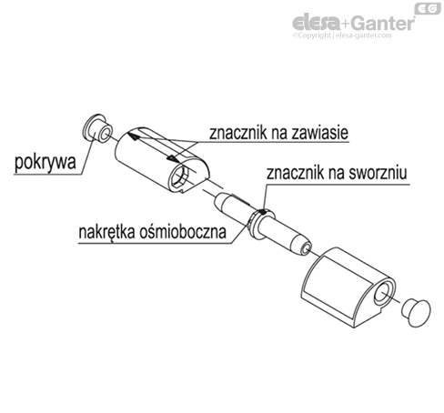 CFO_ACC_ASSEMBLY_2_PL
