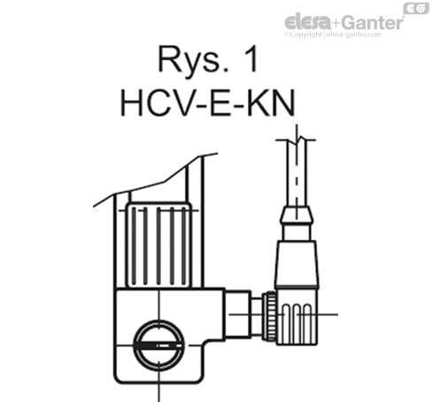 HCV_E_FIG1_PL