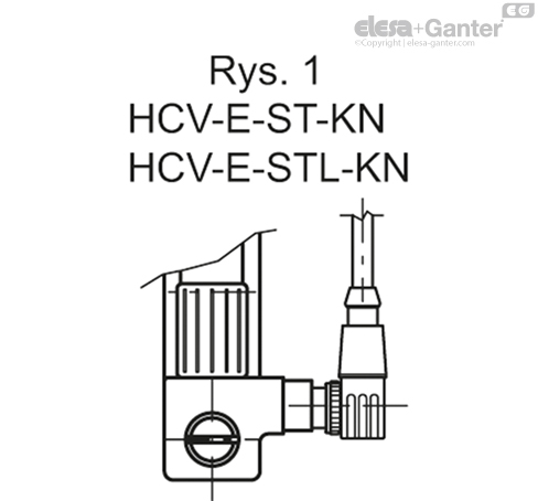 HCV_E_S_FIG1_PL