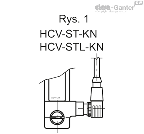 HCV_S_FIG1_PL
