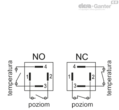 HCY_E_ST_ACC_ISSUES_PL