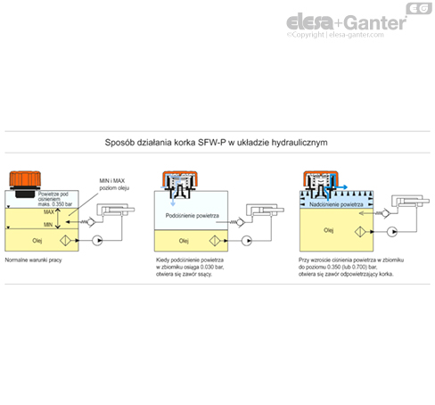 SFW_P_a_ACC_EXAMPLE_PL