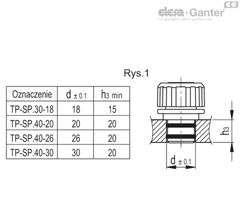 TP_SP_MOUNT_EXAMPLE_PL
