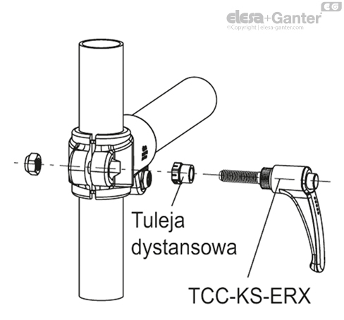 TCC_KS_ACC_EXAMPLE_ERX_PL
