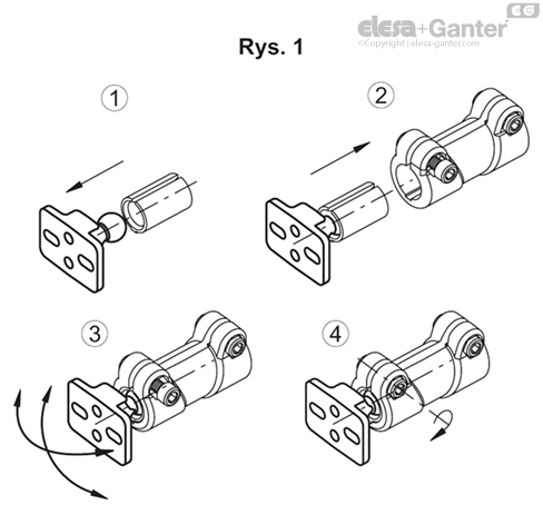 TCC_SJB_FIG1_PL