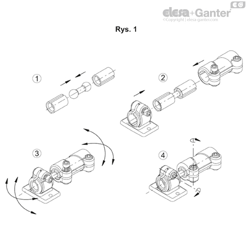 TCC_SJD_FIG1_PL